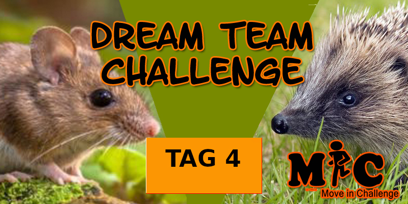 TAG 7 DREAM TEAM CHALLENGE