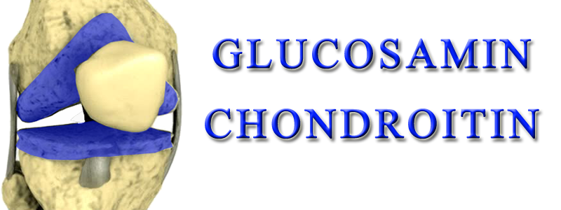 GLUCOSAMIN & CHONDROITIN