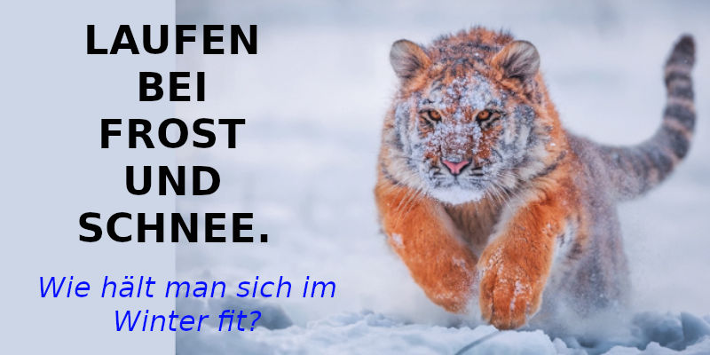 LAUFEN BEI FROST UND SCHNEE. WIE HÄLT MAN SICH IM WINTER FIT?